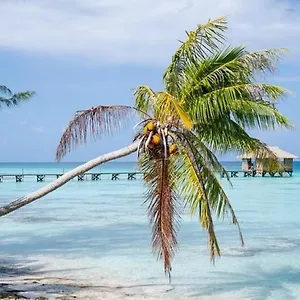 Sunset Hill Bora Bora